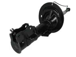 amortyzator-16797-mon