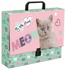 teczka-z-raczka-a4-xl-my-little-friend