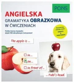 angielska-gramatyka-obrazkowa-w-cwiczeniach