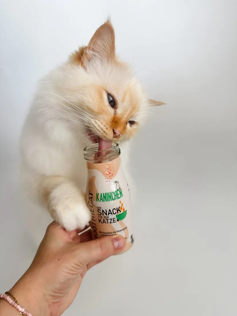 smoothiecat-krolik-150ml-marka-smoothie-dog