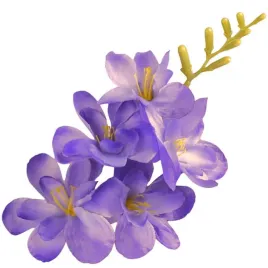 frezja-satynowa-fioletowo-niebieska