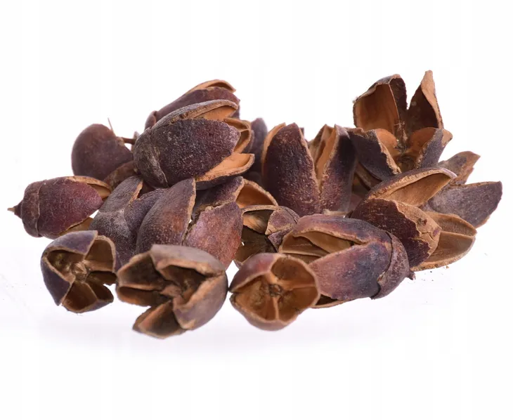 bakuli-naturalne-100g-40szt