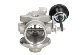 zawor-egr-7-24809-17-0-pie
