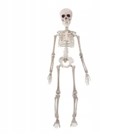 wiszacy-szkielet-50cm-halloween-dekoracja