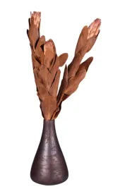 protea-rozowa-z-lisciem