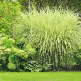 plotek-ogrodowy-4-przesla-415x245cm-rodzaj-inny