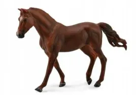 kon-missouri-trotte-mare-kasztanowaty-collecta
