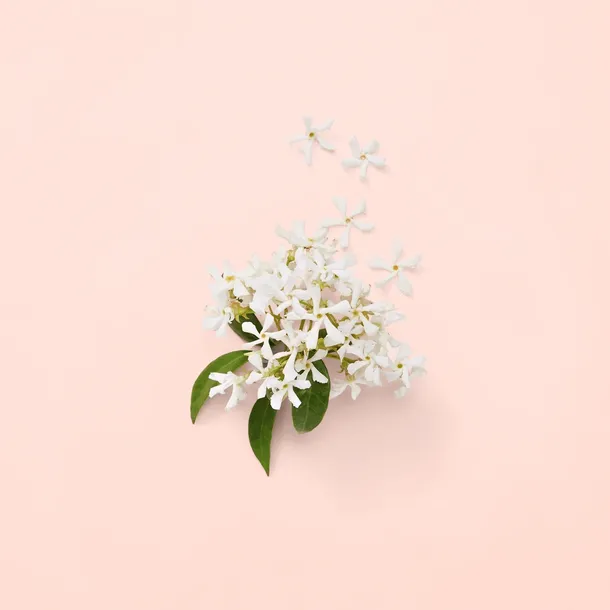 gucci-bloom-woda-perfumowana-50ml