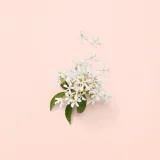 gucci-bloom-woda-perfumowana-100ml