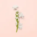 gucci-bloom-woda-perfumowana-100ml