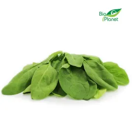 szpinak-swiezy-niemyty-bio-polska-okolo-010-kg