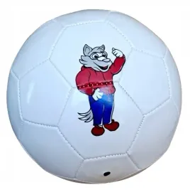 pilka-nozna-treningowa-meczowa-pilka-do-gry-w-noge-biala-rozmiar-5