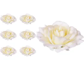 roza-glowka-sonia-kremowa-6-sztuk