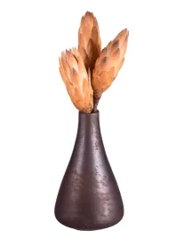 protea-kremowa-3-sztuki