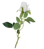 roza-galazka-biala-65cm