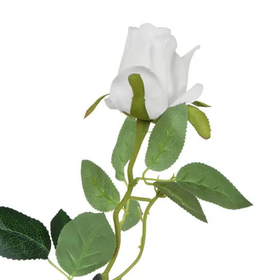 roza-galazka-biala-65cm