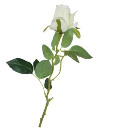 roza-galazka-bialo-kremowa-65cm