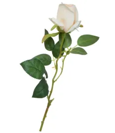 roza-galazka-kremowo-brzoskwiniowa-65cm