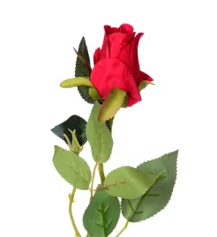 roza-galazka-czerwona-65cm