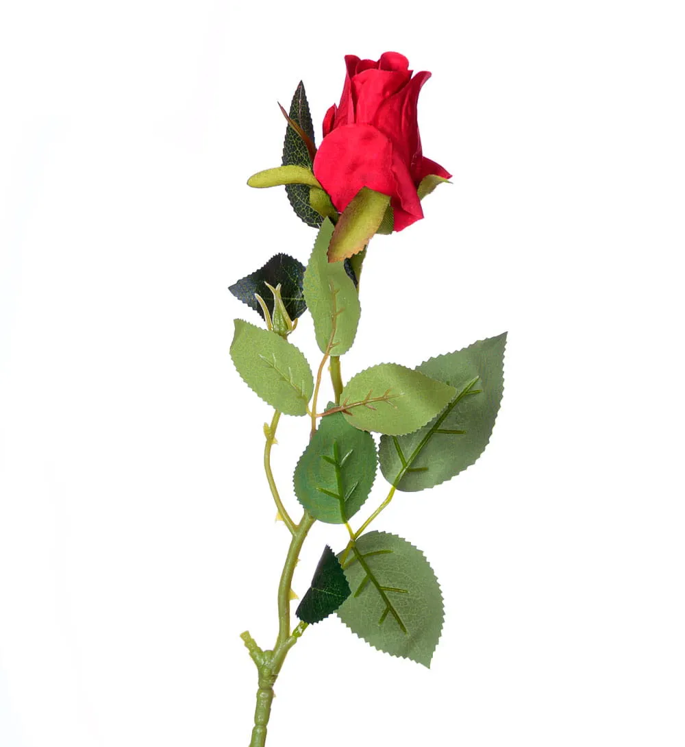 roza-galazka-czerwona-65cm