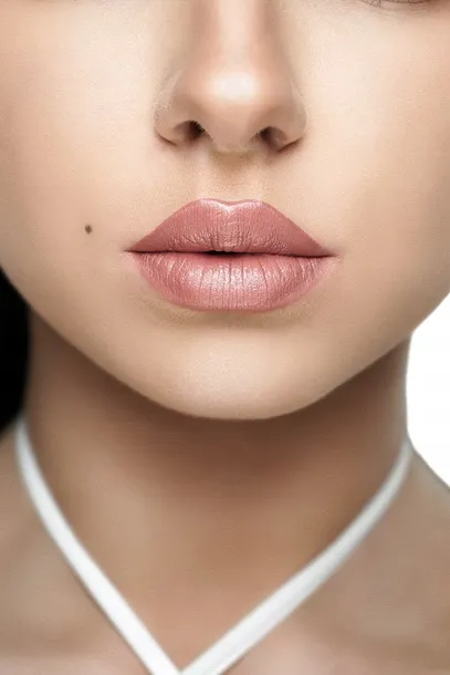 wtb-professional-pomadka-do-ust-4w1-silky-nude