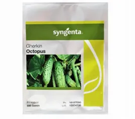 ogorek-holenderski-octopus-500-nasion