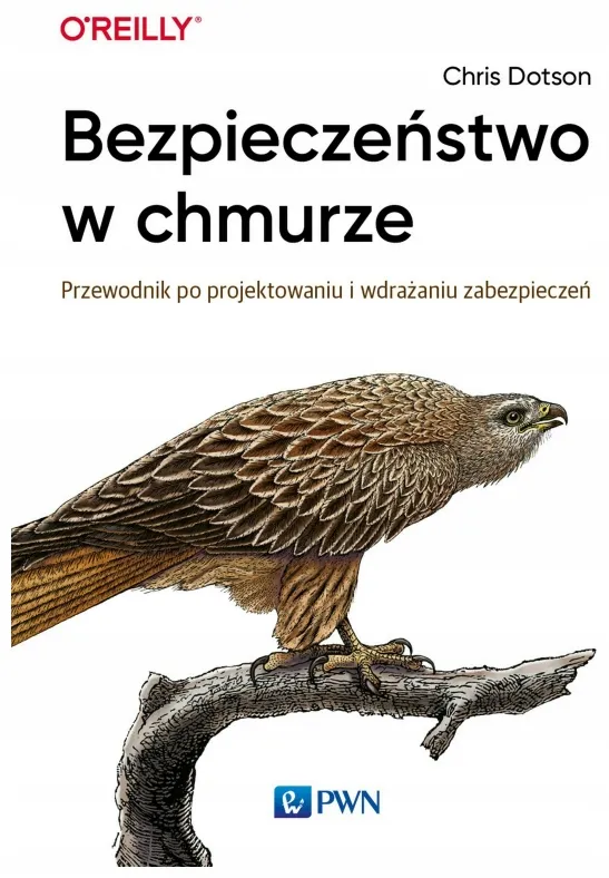 bezpieczenstwo-w-chmurze-przewodnik-chris-dotson