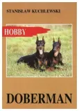 doberman-stanislaw-kuchlewski