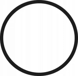 pierscien-uszczelniajacy-o-ring-42-mm-920557026