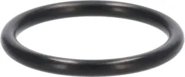 pierscien-uszczelniajacy-o-ring-31-7-mm-920552211