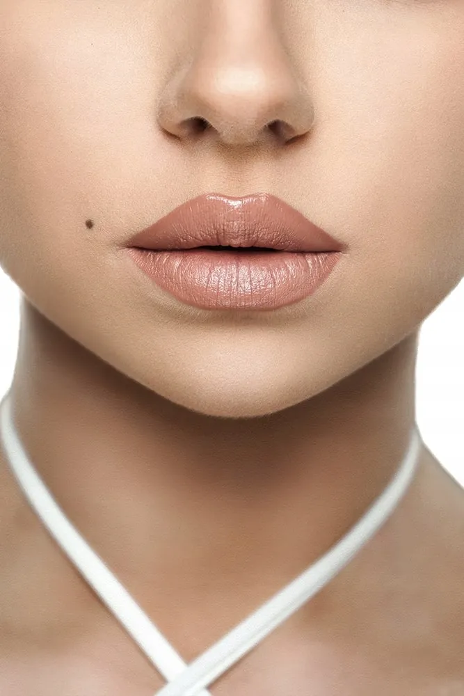 wtb-professional-pomadka-do-ust-4w1-dusty-nude