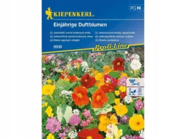 pachnace-kwiaty-jednoroczne-mieszanka-nasion