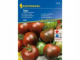 pomidor-koktajlowy-tiger-paskowany-nasiona-kiepenkerl