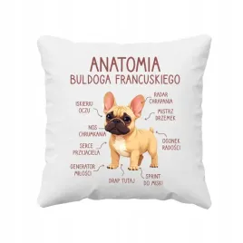 poduszka-na-prezent-anatomia-buldoga-francuskiego-biszkoptowy