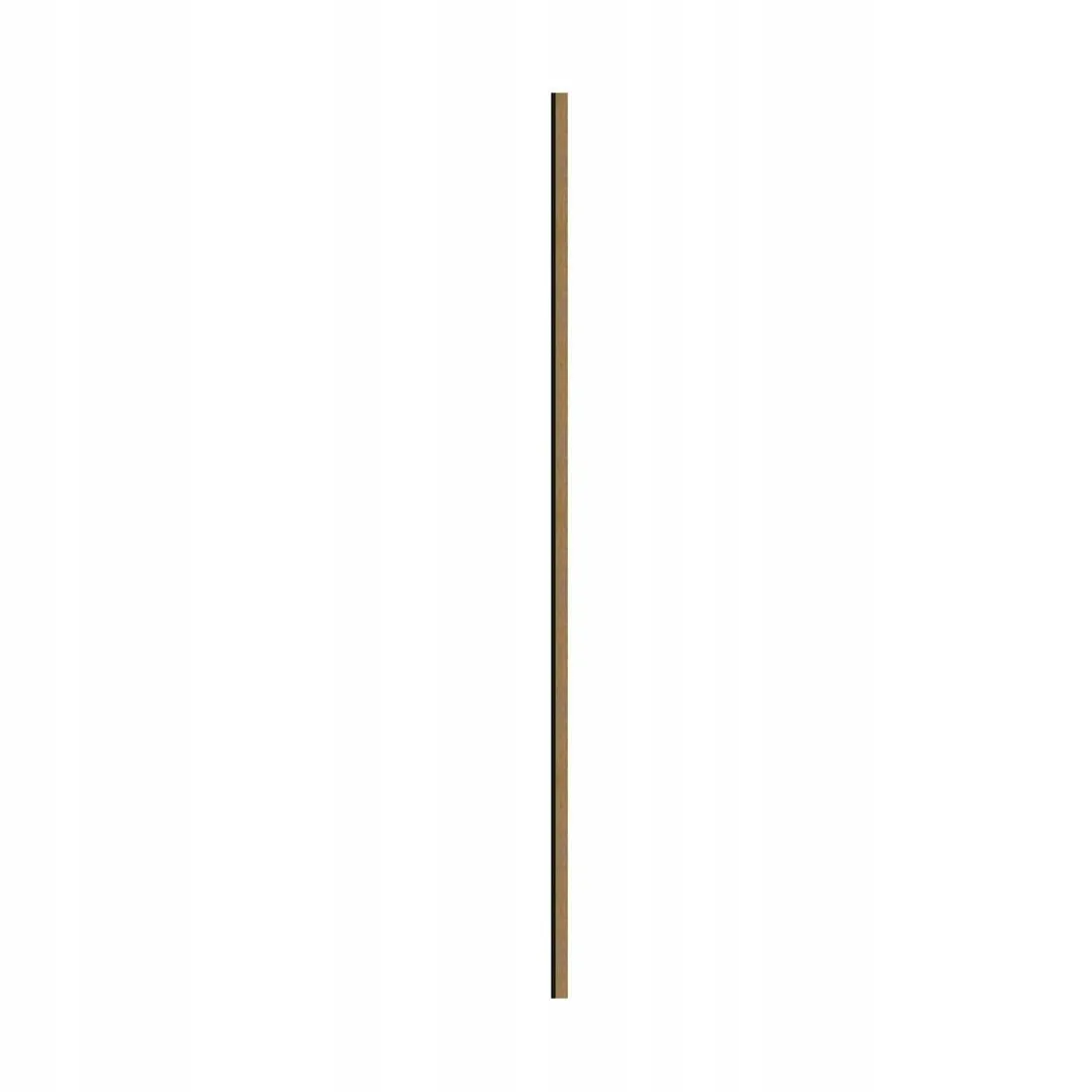 panel-scienny-lineo-3-marron-modul-startowy