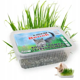 super-benek-kocia-trawka-szybkorosnaca-odklaczajaca-150g-suplement-diety