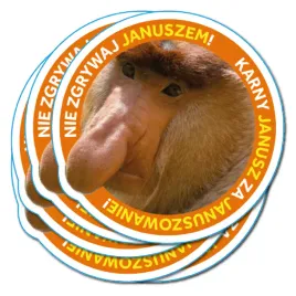 naklejki-karne-za-zle-parkowanie-na-auto-janusz-100-szt