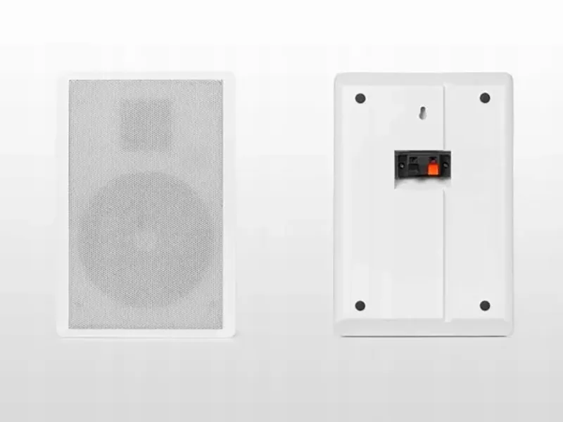 zestaw-plaskich-glosnikow-sciennych-525-100v-wsf30w-power-dynamics