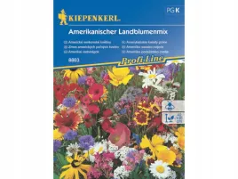 mieszanka-amerykanskie-kwiaty-polne-nasiona-kiepenkerl