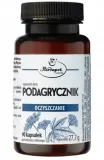 podagrycznik-90-kapsulek-herbapol-krakow