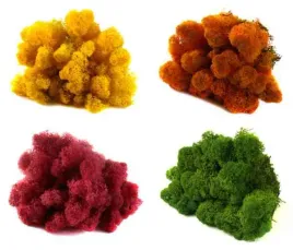 mech-chrobotek-reniferowy-mix-kolor-4-kolory-mix2