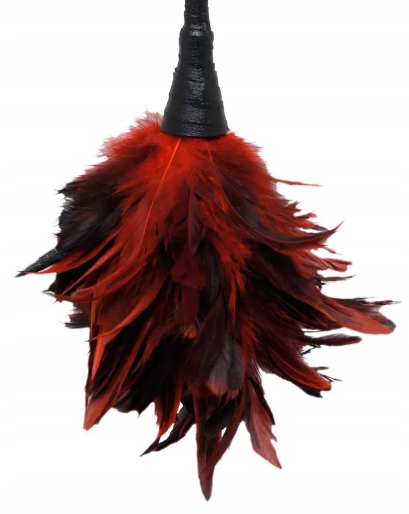 ffs-frisky-feather-duster-waga-z-opakowaniem-0-1-kg