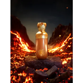 paris-corner-perseviron-edp-stan-nowy