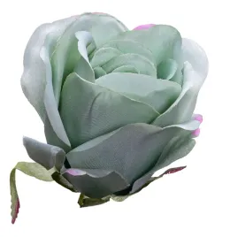 roza-glowka-mietowa