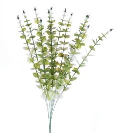 eukaliptus-galazka-jasno-zielony-12-sztuk