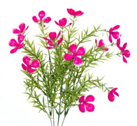 dziurawiec-fioletowy-bukiet-drobnych-kwiatow-37cm