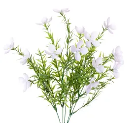dziurawiec-bialy-bukiet-drobnych-kwiatow-37cm