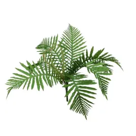 palma-bukiet-50cm