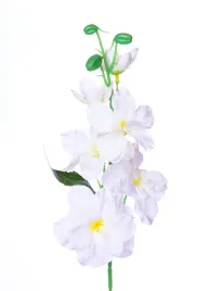 ostrozka-biala-galazka-42cm