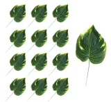 lisc-filodendron-12-sztuk